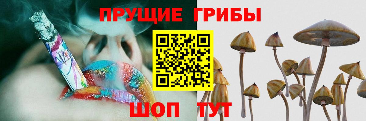 Спасск-Дальний  Галлюциногенные грибы Magic Shrooms  Вход с VPN 